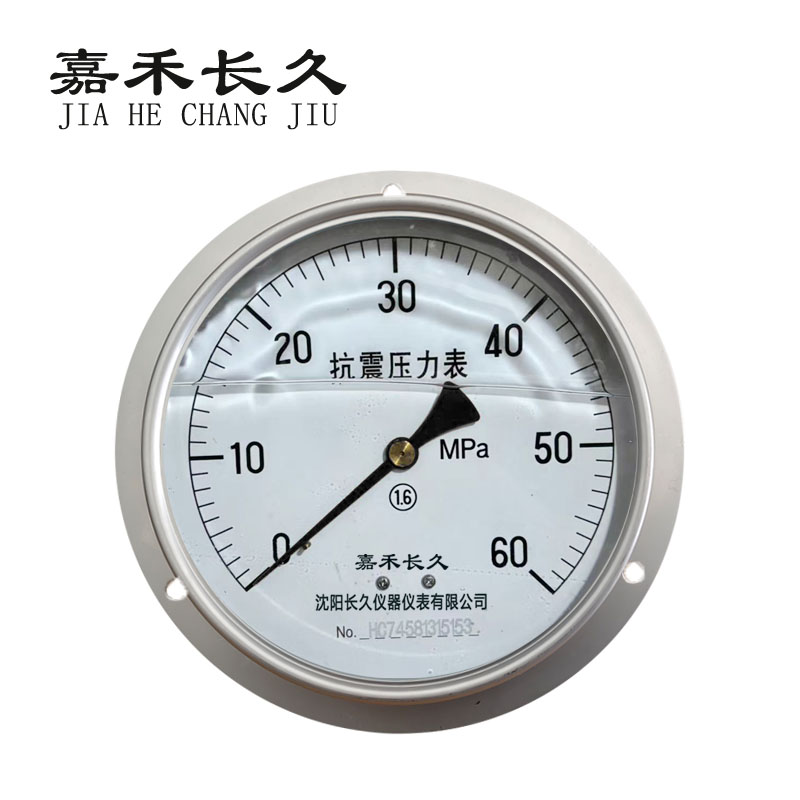嘉禾长久 耐震压力表轴向带边检测型 YTN150ZT 块 0-60Mpa
