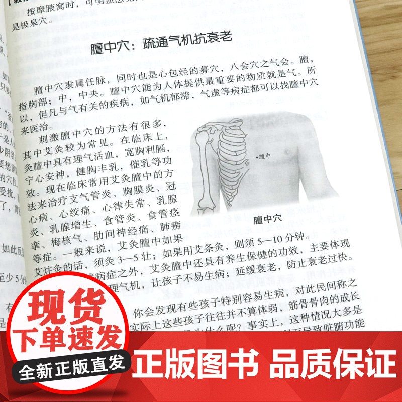 家庭中医养生一本通+中医养生秘诀+中医自学百日通全3册 正版书籍中医入门基础理论中医药书籍大全中医自学教程食疗养生保健土高清大图
