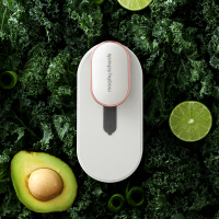 摩飞电器(MORPHY RICHARDS)MR2060冰箱除味器（SC）
