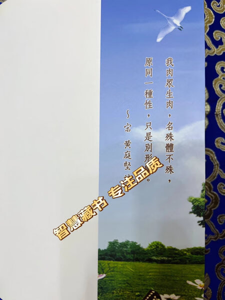 ?[绝版书籍]善待生命 索达吉堪布著?专注品质高清大图