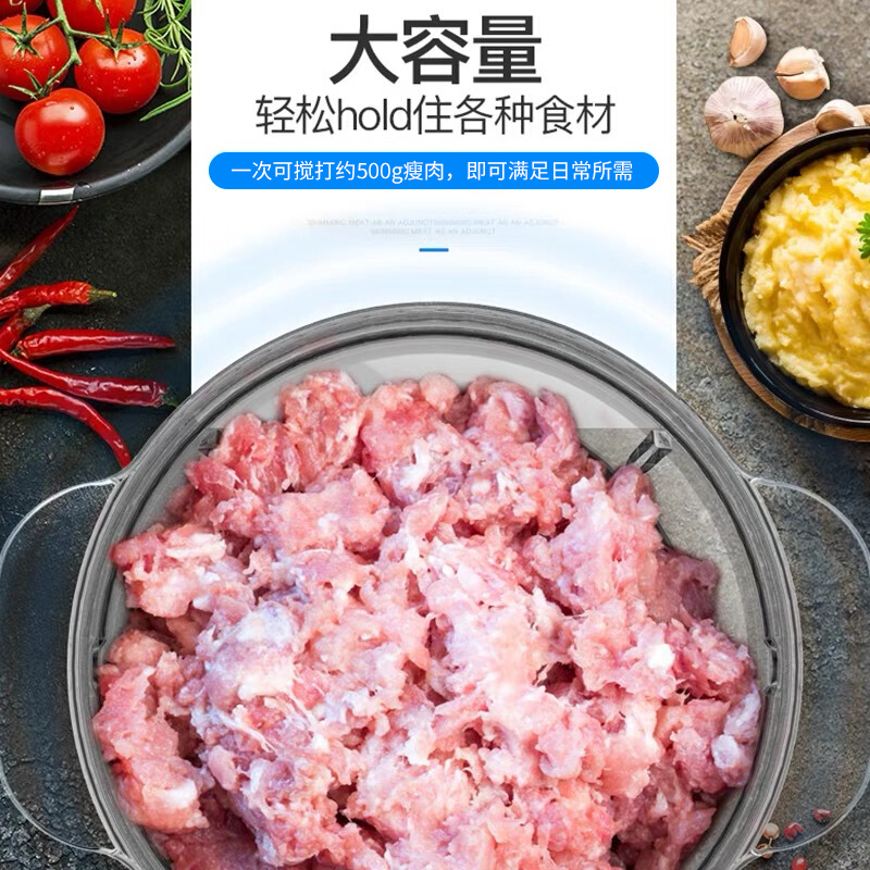 东菱 绞肉机DL-JR373高清大图