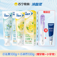 冷酸灵抗敏感牙膏100克*2支家庭装(沁爽薄荷100g+冰柠薄荷100g)