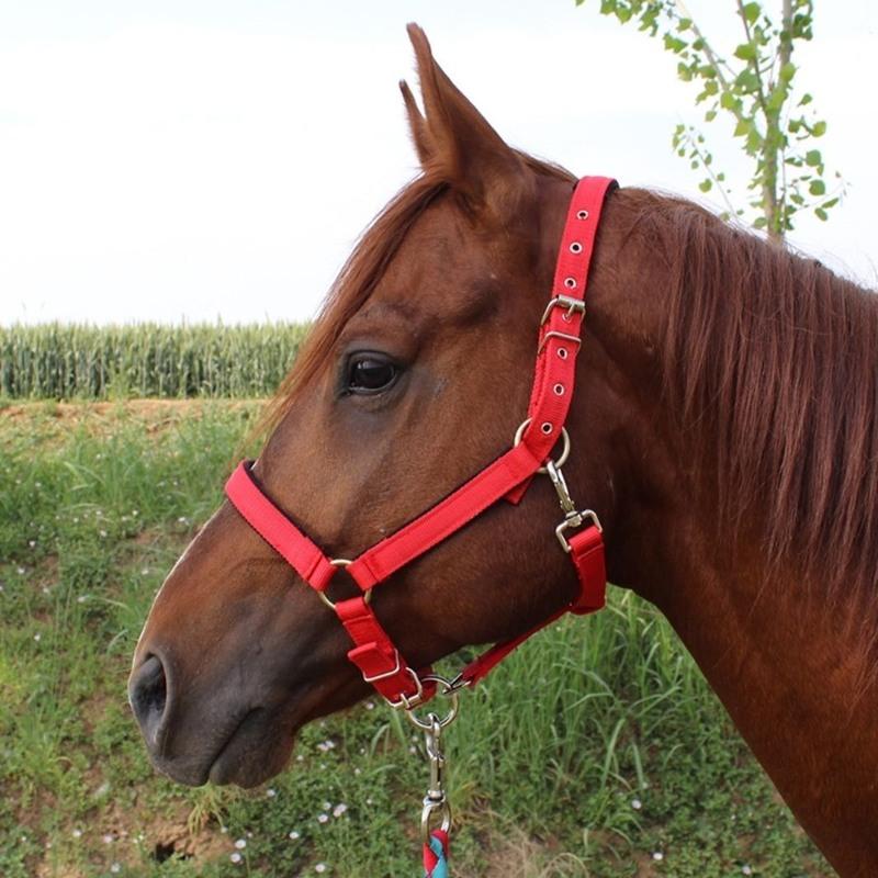 马具马笼头配件