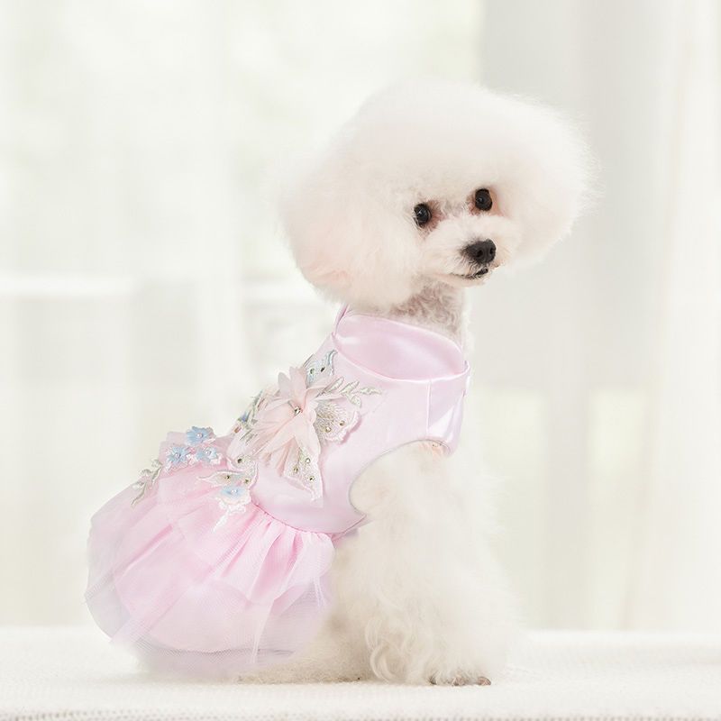 小狗狗公主裙泰迪裙子春夏狗衣服婚纱礼服蕾丝纱宠物小型犬蓬蓬裙大片