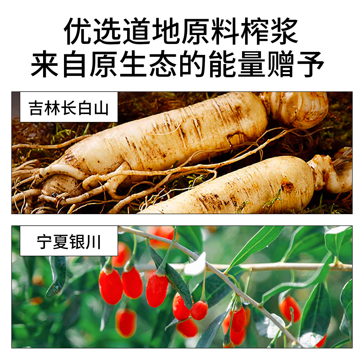 杞里香纯耕1.2L(40袋)量贩装人参枸杞原浆女性红枸杞免熬煮滋补养生饮原浆口服液官方旗舰店高清大图