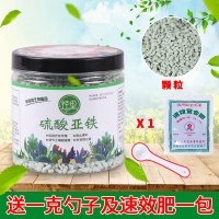 高宅兰花酸硫亚铁颗粒花用肥料铁补酸性防黄叶室内外盆栽通用型肥料
