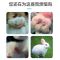 兔子撒窝粉真菌感染螨虫兔皮肤病撒窝粉幼兔黄白痢防拉稀养殖用 兔子撒窝粉1000g