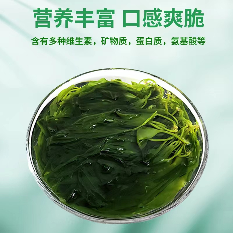 酥田SUTIAN头水盐渍海带苗鲜嫩半干小海带凉拌火锅煮汤食材盐渍海带苗