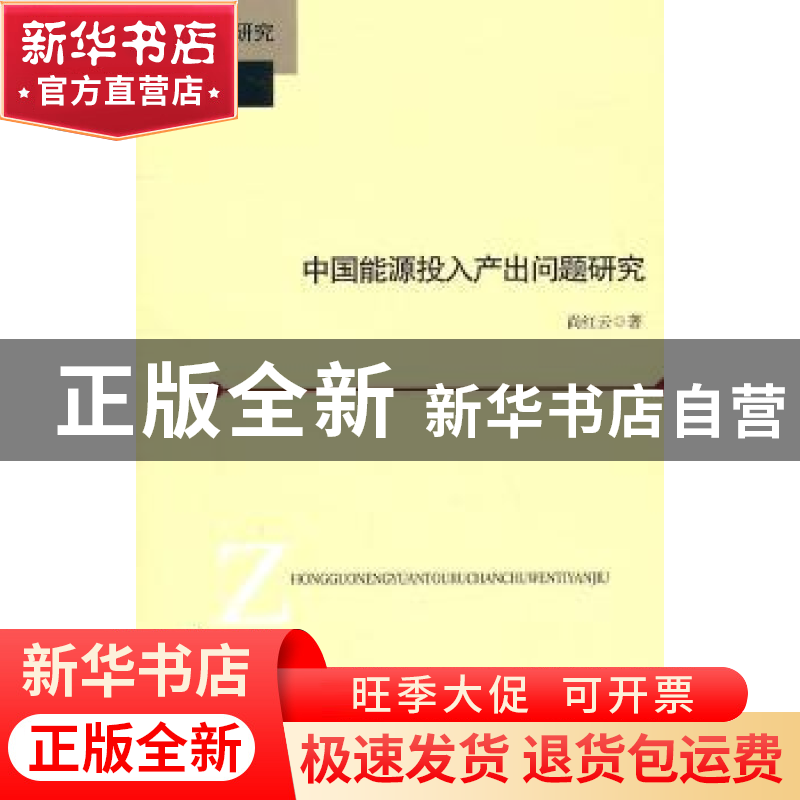 正版 中国能源投入产出问题研究 尚红云著 北京师范大学出版社高清大图