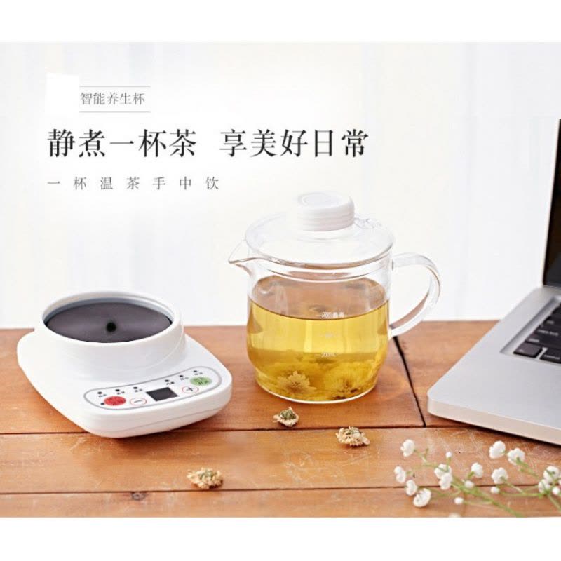 养生壶迷你0.4l办公室时光旧巷小型自动液体加热器容量全玻璃烧水壶1人用 粉色加炖盅图片
