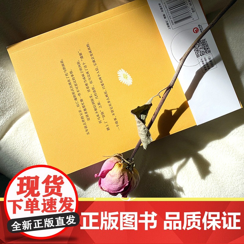 来不及说的爱(继《偷影子的人》,马克?李维又一暖心治愈大作) 马克·李维 博集天卷 湖南文艺出版社 正版书籍高清大图