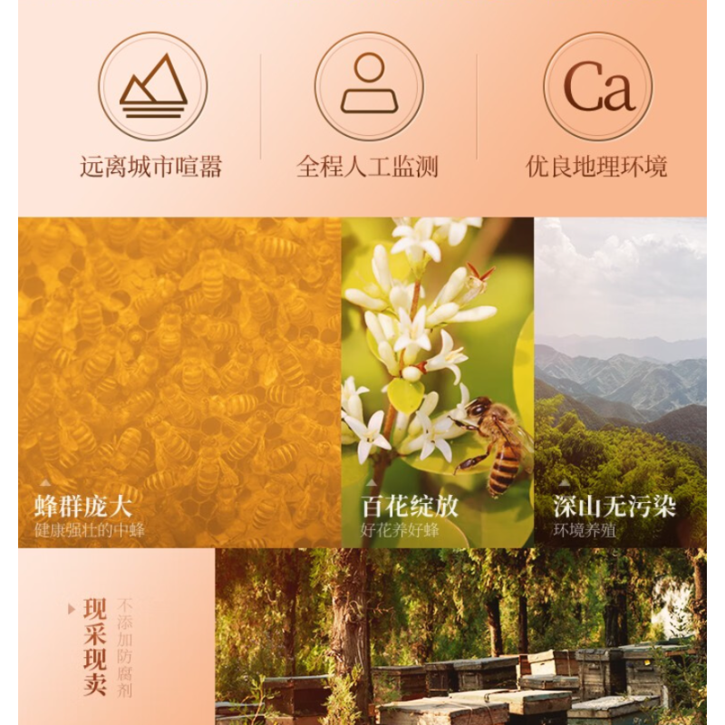 颐寿园(YISHOUYUAN)蜂蜜 纯正天然枣花蜜 枣花蜂蜜480g/瓶