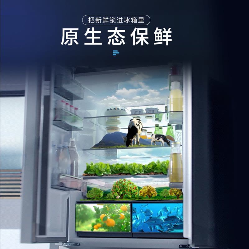 澳柯玛法式四门冰箱BCD-521WPGSV图片