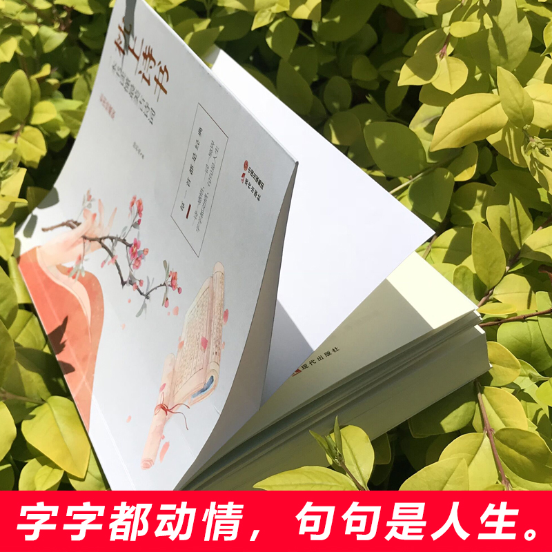[醉染正版]全套7册 枕上诗书系列全套正版 古诗词大全 仓央嘉措诗集全集书籍 珍藏版 中国诗词大会6册枕上书诗书 枕边诗高清大图