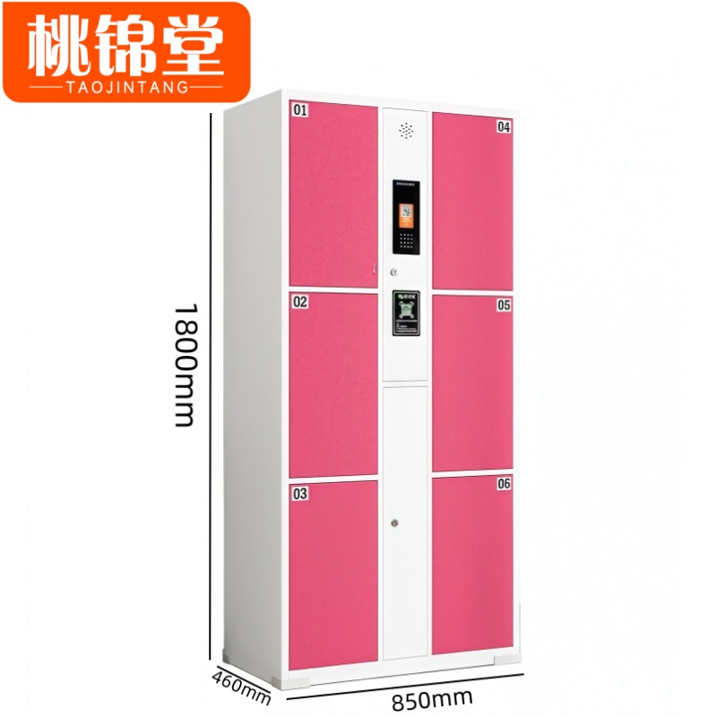 桃锦堂存包柜 存包柜6门台