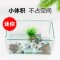 乌龟缸过滤器低水位浅水小型鱼缸瀑布过滤器三合一潜水循环泵