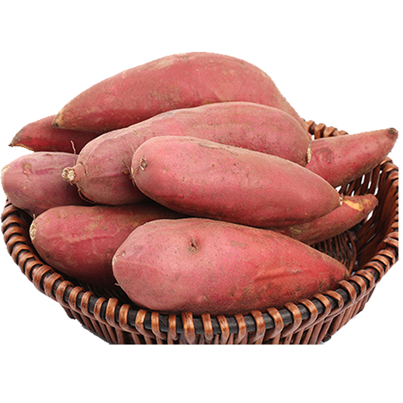 兰考越千山红薯红心蜜薯新鲜地瓜番薯5斤