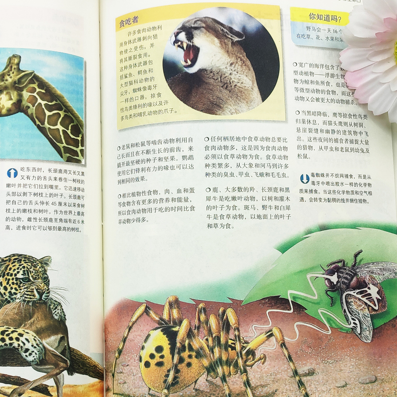 [正版]少年儿童百科全书少儿版大百科全书小学生宇宙地球生命地理科技人体历史及文化十万个为什么科学科普书籍11-14岁课高清大图