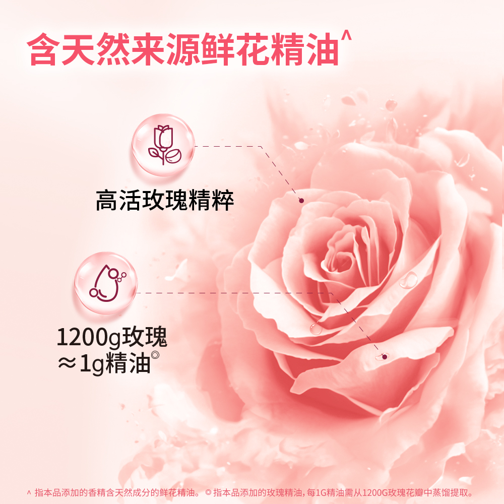 洁仕嘉牌香氛净护洗衣凝珠(云南·云杉玫瑰) 300G(30颗)*2盒 ZF013-01高清大图