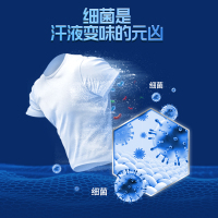 碧浪长效抑菌超低泡洗衣液2kg 除菌除螨除臭