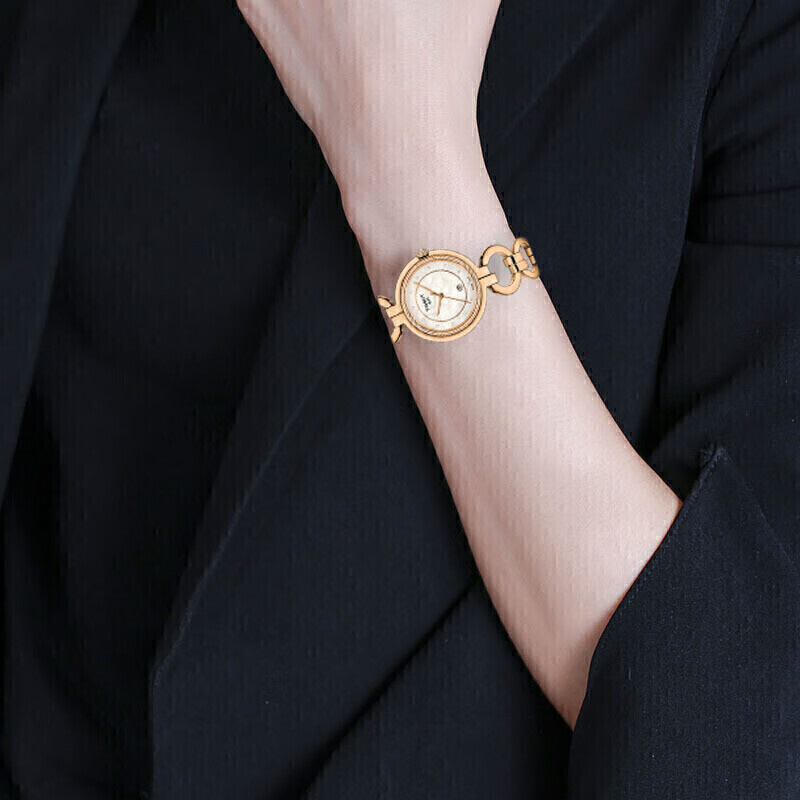 天梭(TISSOT)瑞士手表 弗拉明戈系列腕表 石英女表送女友 T094.210.33.116.01高清大图
