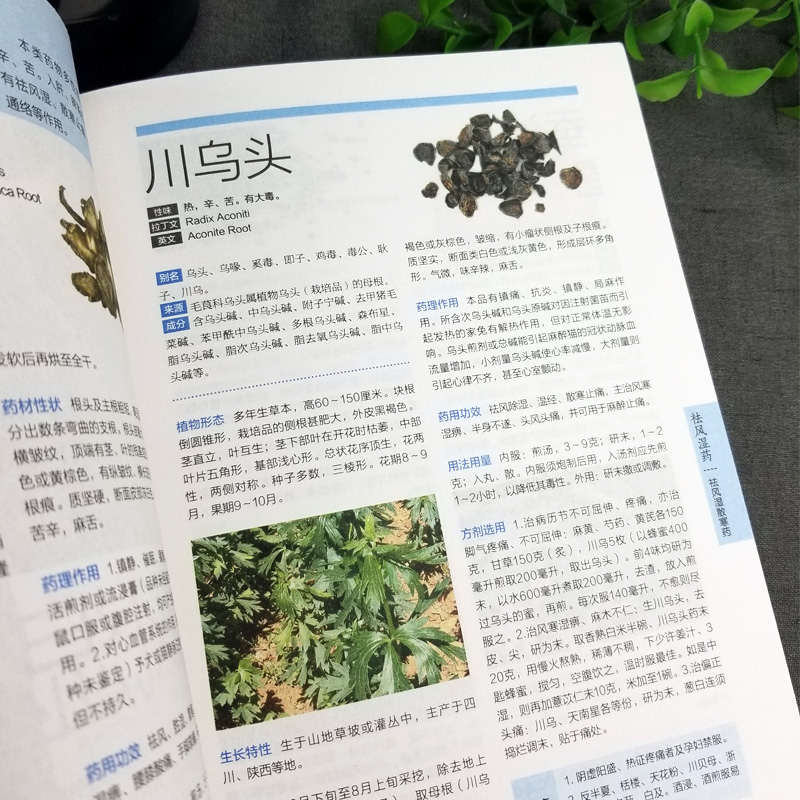 [醉染正版]543页中草药全图鉴 全彩草药实图拍摄 中草药大全中医书籍中医专家审定养生速查全图解 中草药书中药书籍养生保高清大图