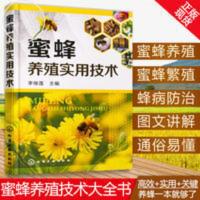 蜜蜂养殖实用技术 蜜蜂养殖技术大全书养蜂技术书籍 科学饲 图说蜜蜂养殖关键技术
