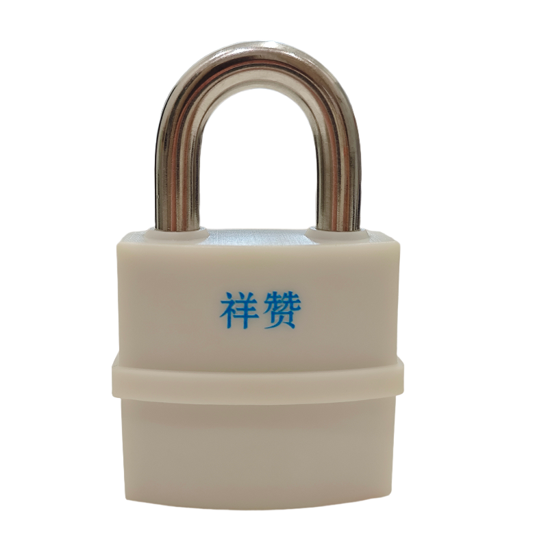 祥赞电子锁XZ-ZNDZS300高清大图
