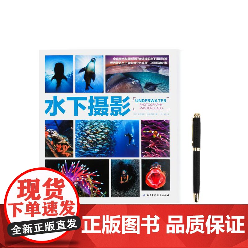 水下摄影(世界水下摄影师Alex Mustard力作;史上超实用水下摄影指南,深受全球潜水、摄影爱好者追捧)高清大图