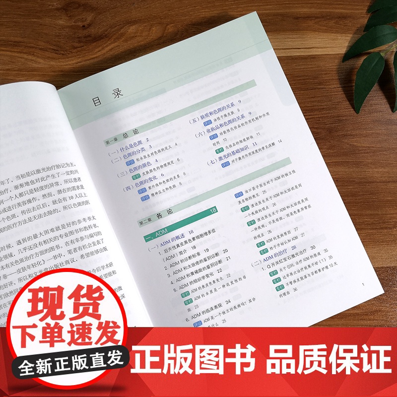 色斑的治疗第二版 葛西健一郎吴溯帆著面部整形美容医学科普讲解激光美容整形治疗脸部健康淡斑祛斑皮肤诊疗面部美白 整形美容书高清大图