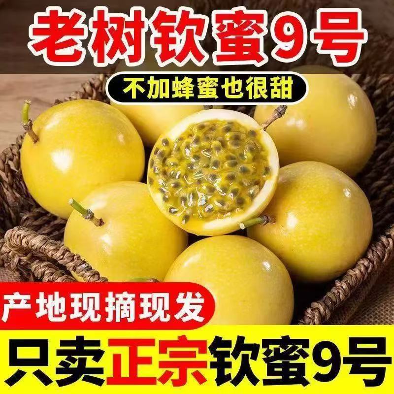 果尽欢新鲜广西黄金百香果钦蜜9号百香果
