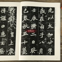 [正版]学海轩墓志铭集张黑女墓志元桢墓志董美人墓志中国古代法书选魏文源编张玄墓志铭毛笔魏碑楷书碑帖书法练字帖
