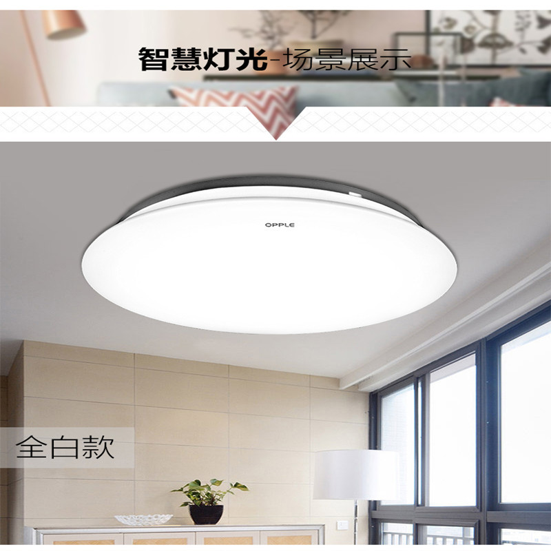 吸顶灯 LED15W