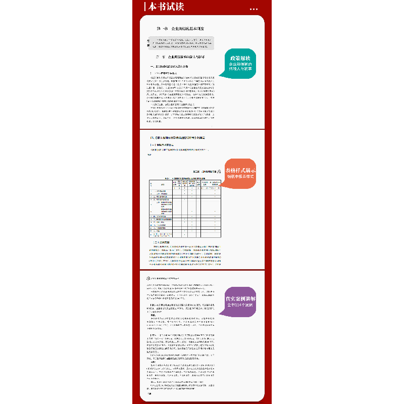 正版新书]企业所得税纳税调整实务与案例翟继光项国978754297328高清大图
