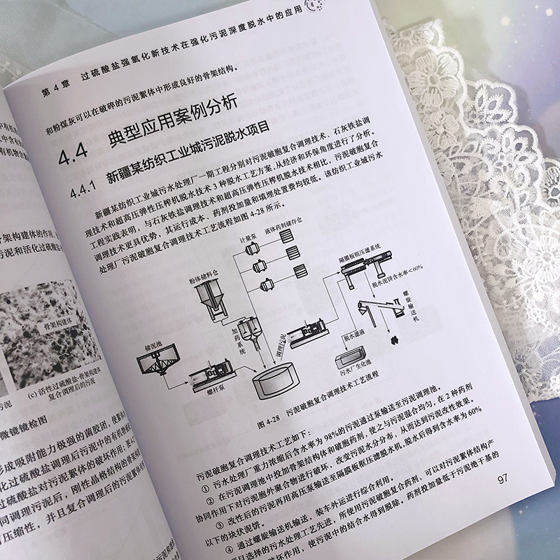 [正版]城市污泥强化脱水与末端处理 李亚林 污泥处理处置 污泥强化脱水实用技术指导书 固废处理处置实用技术图书 环境工高清大图