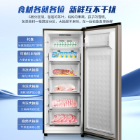 澳柯玛BD-151WNE炫金色风冷无霜立式冷柜家用冷冻冷藏小冰柜一级节能母乳冰箱