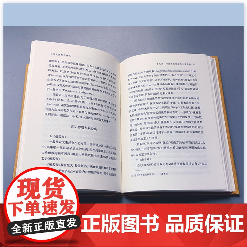 印度佛教史概说 杨曾文 姚长寿 译 复旦大学出版社 正版书籍高清大图