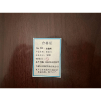 防盗门 定制款