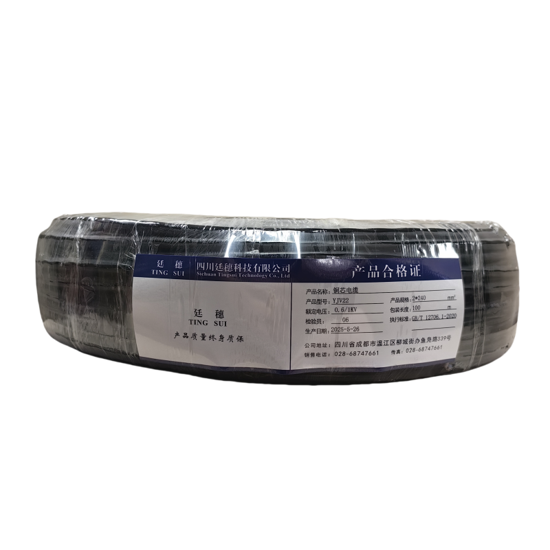 廷穗(TINGSUI)铜芯电缆YJV22-0.6/1KV-2*240 米