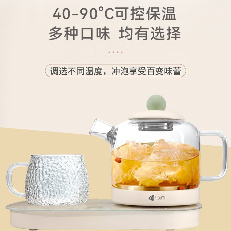 艾青春(AIYOUTH)多功能保温煲煮开水壶分体式二合一养生电水壶 KBE305 0.9L高清大图