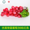 仿真藤条假绿植水果店挂件叶物藤蔓塑料蔬菜吊顶装饰花辣椒樱桃果 封后 芒果十串价格仿真植物