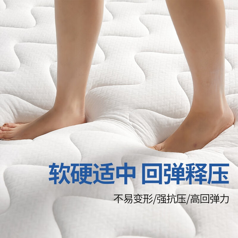 九洲鹿 乳胶床垫床褥软垫 家用卧室加厚租房榻榻米抗压绵垫高清大图