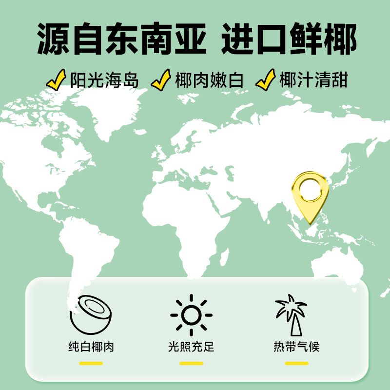 轻上椰汁椰子汁饮品0糖生椰220ml*10瓶整箱植椰奶高清大图