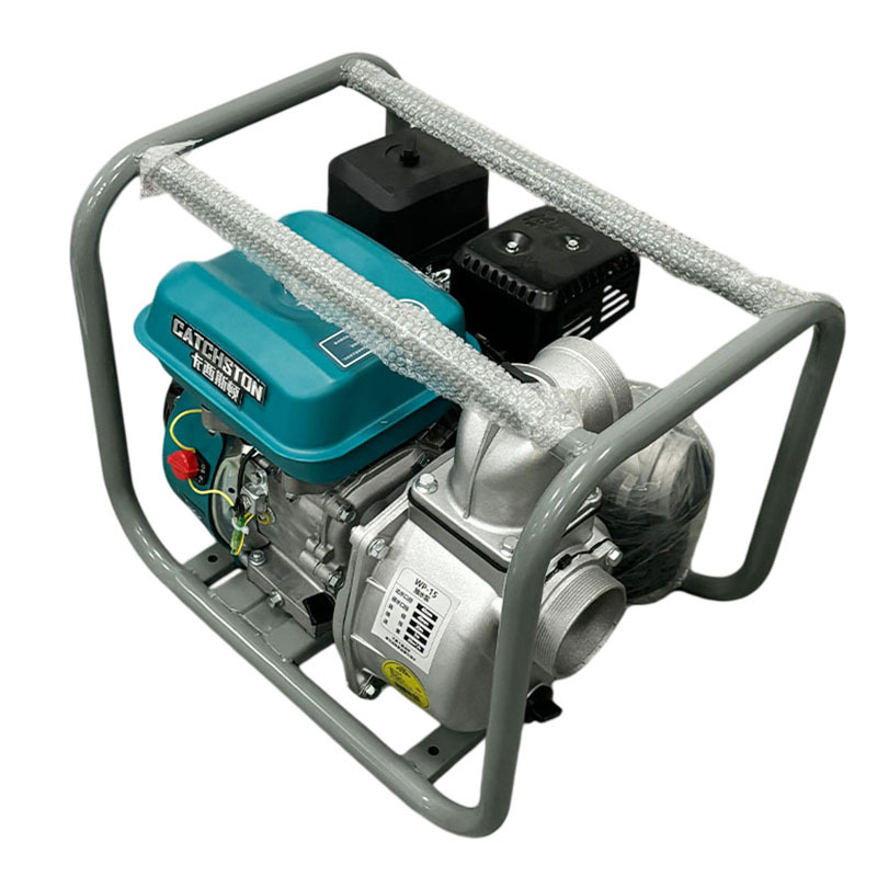 卡西斯顿 抽水泵 WP-40A 台高清大图