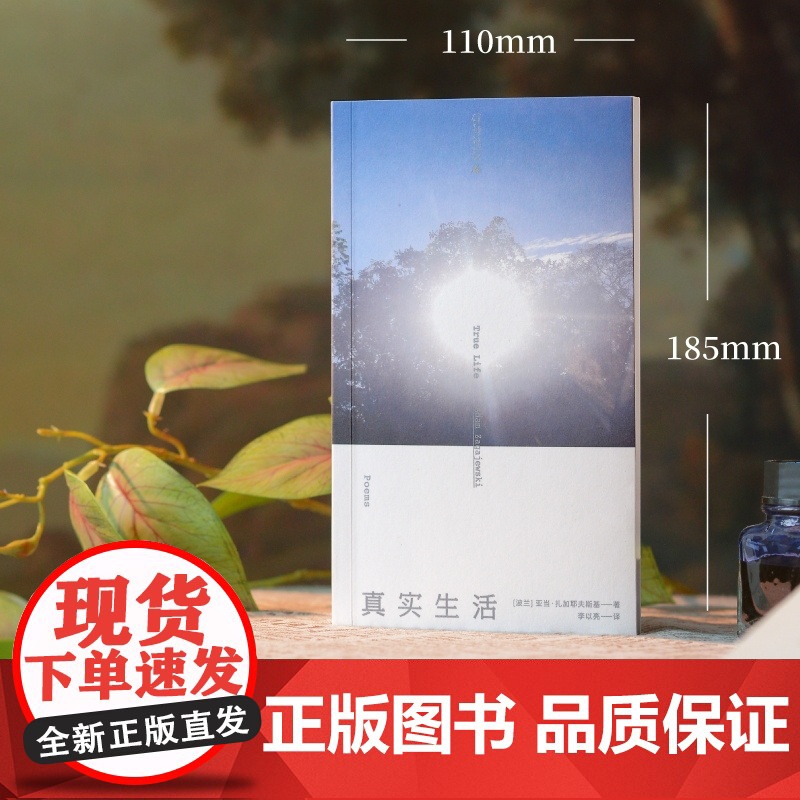 真实生活 9787559872920 北贝 广西师范大学出版社 亚当 扎加耶夫斯基 著 李以亮 译 2024-10高清大图