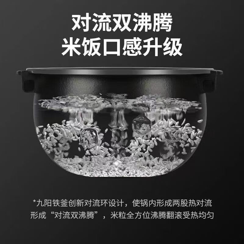 九阳(Joyoung) 2L铁釜内胆IH加热电饭煲F-20FY1