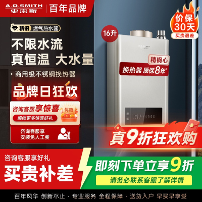 A.O.史密斯燃气热水器JSQ31-MN5