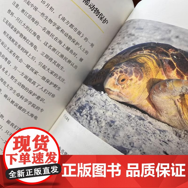 苗德岁写给孩子的自然科学 完整版大套装 全6册 古生物学家苗德岁教授原创力作 涉及地理 生物 物理 化学 语文 英语等多高清大图
