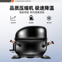 星星(XINGX)930升冷藏玻璃门冰箱商用大容量保鲜柜饭店餐饮麻辣烫蔬菜饮料水果展示柜BC-1000TA
