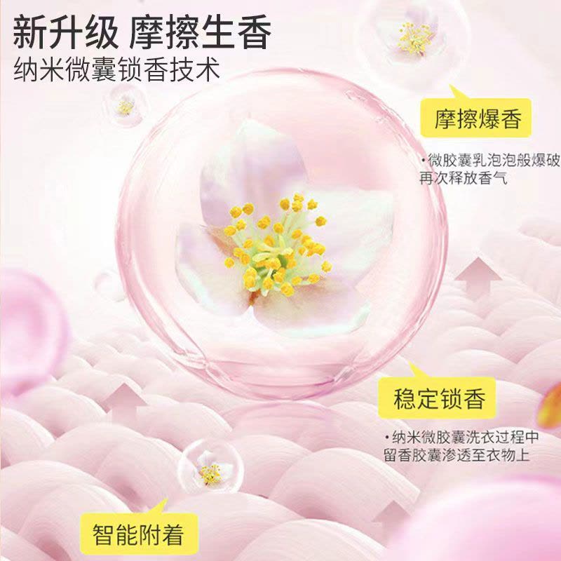 留香珠洗衣服爆香珠家用持久留香味凝香珠颗粒护衣物除螨柔顺图片